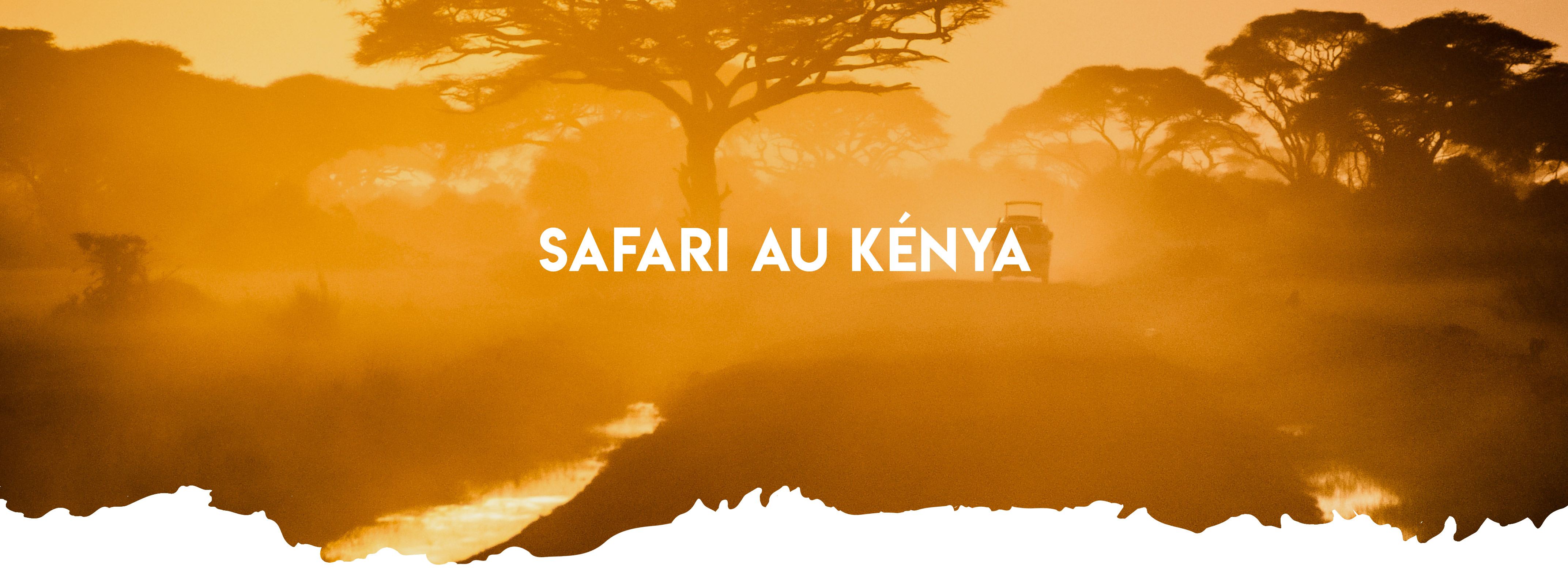 Safari au Kénya